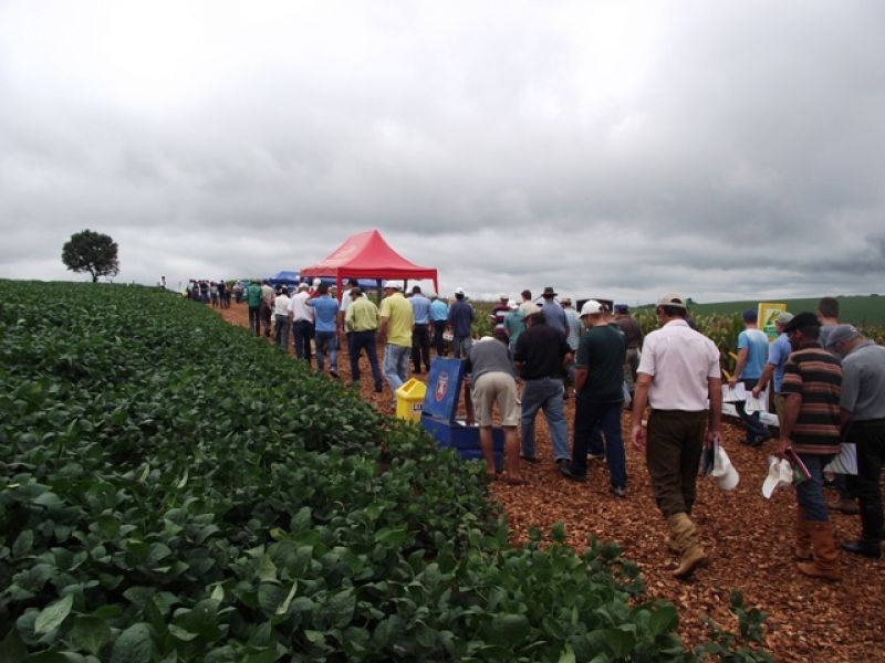 Dia de Campo da Coocam no Barracão reúne mais de 250 produtores rurais