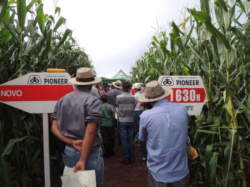 Dia de Campo no Barracão reúne mais de 300 produtores