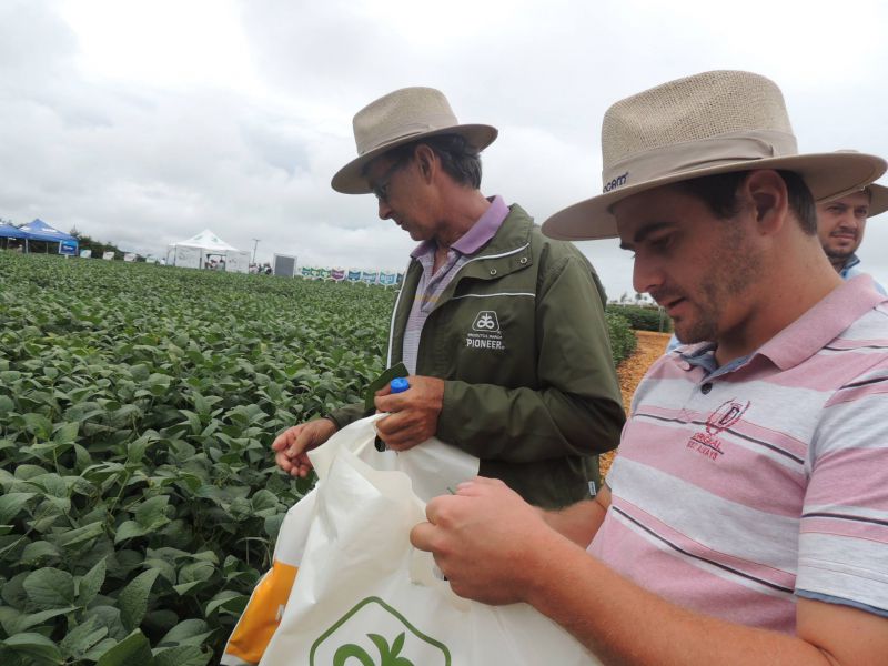 Mesmo com chuva, Dia de Campo da Coocam reúne mais de 300 produtores em Barracão