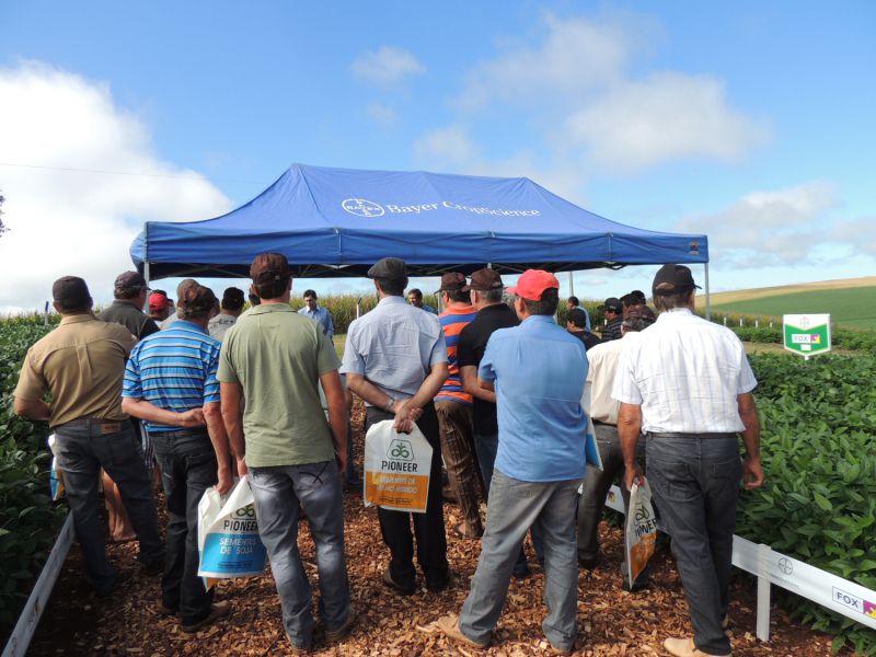 Coocam realiza 10º Dia de Campo em Barracão – RS, neste sábado