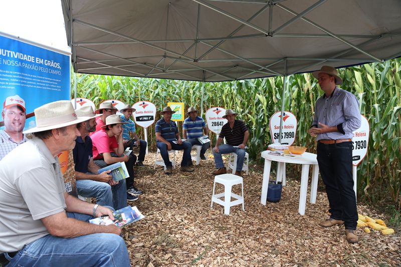 4º Dia de Campo da Coocam em Lebon Régis apresenta novidades do agronegócio