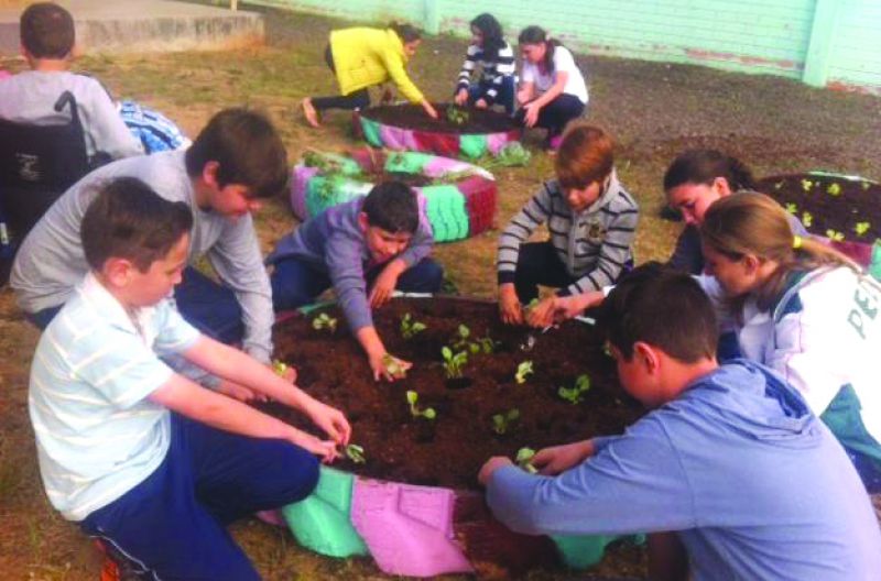  Projeto Escola no Campo 2017 está na reta final.