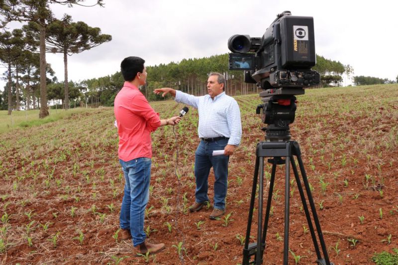 Decreto estabelece novas regras para comércio e fiscalização do uso de agrotóxicos em SC