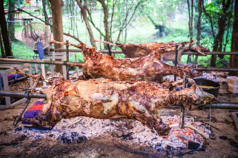 Tradicional Michuim da Coocam será amanhã