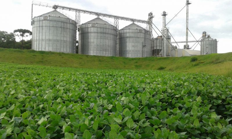 Coocam abre o calendário dos Dias de Campo