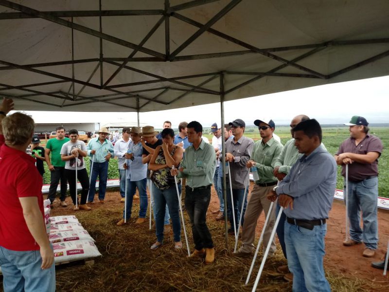 Coocam realiza 1º Dia de Campo no Mato Grosso 