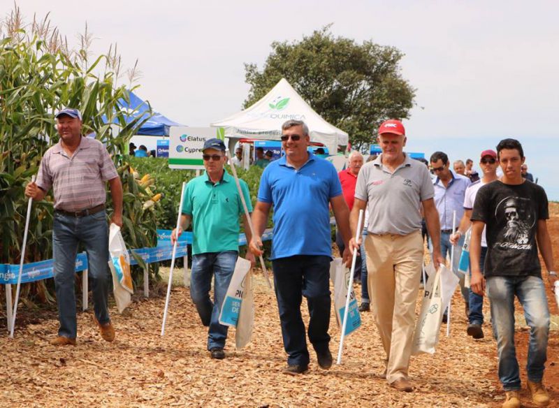 Amanhã tem Dia de Campo da Coocam, na filial de Curitibanos