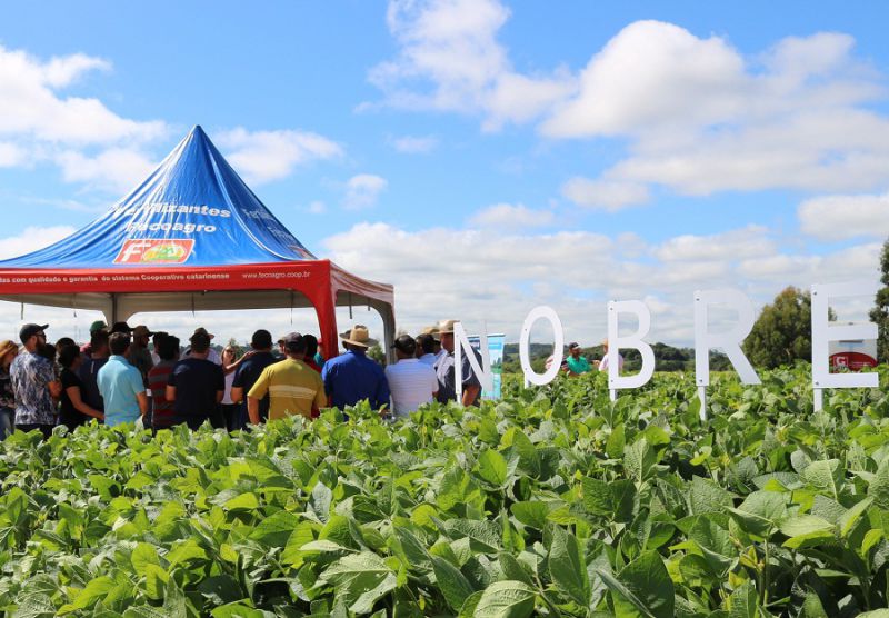 Coocam realiza Dia de Campo em Curitibanos