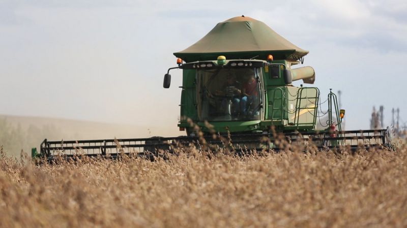 Setor do agronegócio com perdas nas safras de verão e inverno