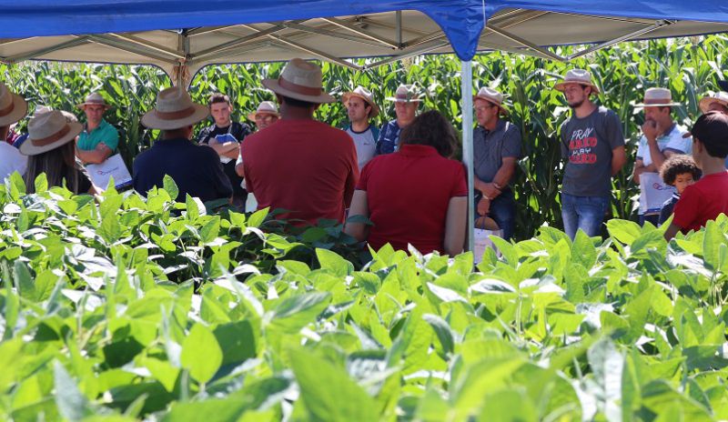 Mais de 300 produtores no Dia de Campo da Coocam em Curitibanos