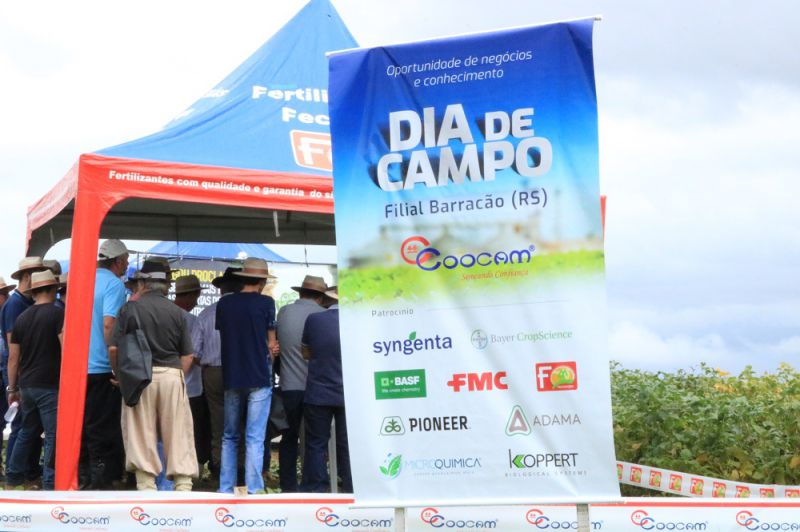 Apesar da chuva, produtores de Barracão participaram do Dia de Campo da filial 