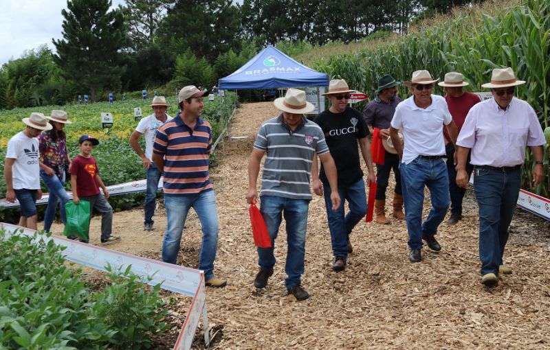 Filial de Lebon Régis fecha o calendário dos Dias de Campo Coocam