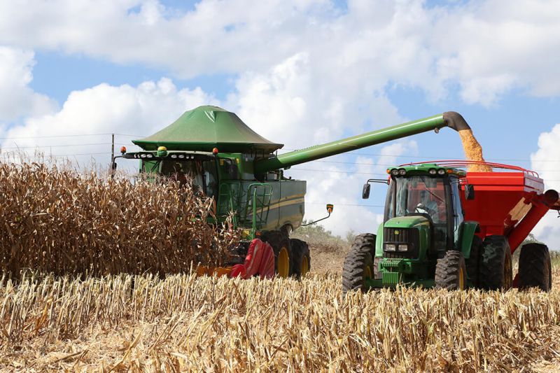 Cerca de 70% das Lavouras dos produtores da Coocam já foram colhidas