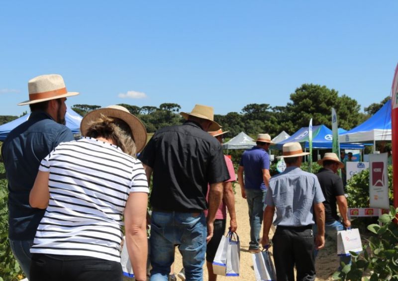 Coocam realiza Tarde de Campo na Filial de Curitibanos