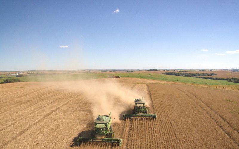 Colheita na região de Campos Novos na reta final 