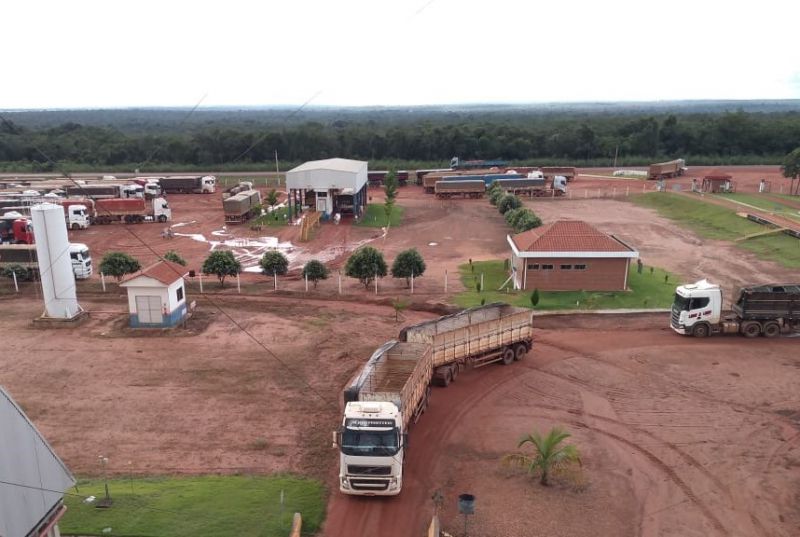 Sojicultores da filial da Coocam no MT sofrem com excesso de chuva durante a colheita 