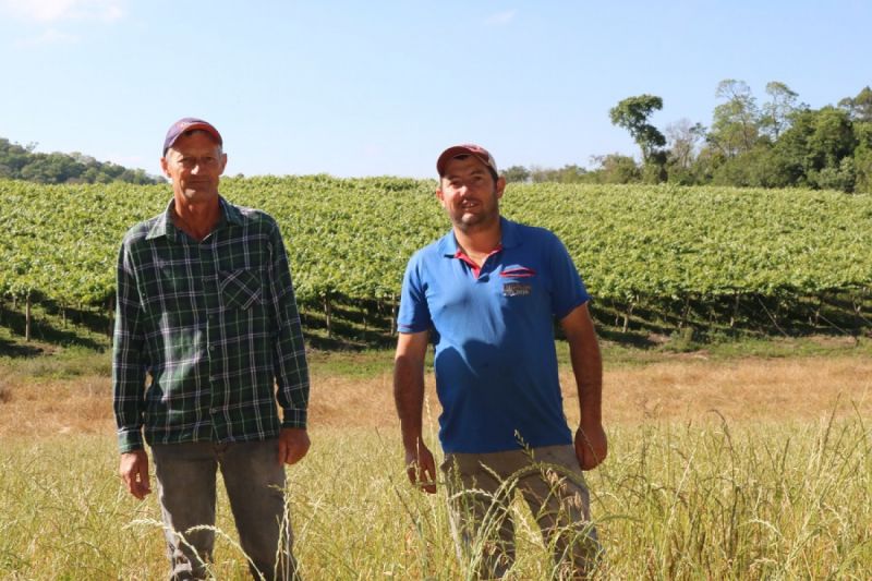 Família do município de Celso Ramos, cliente da Coocam, estará no Programa Resenha do Cooperativismo e Agronegócio