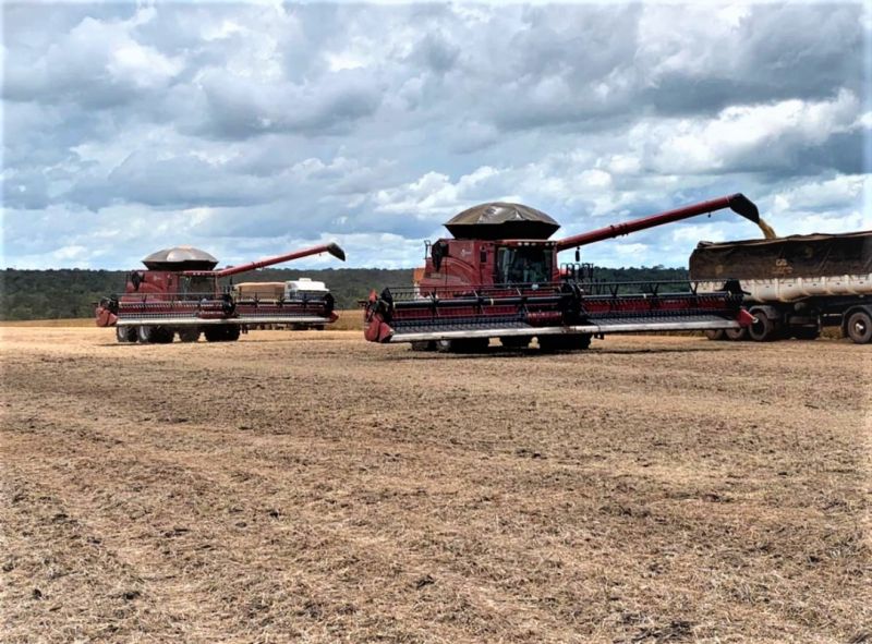 Agrocam iniciou colheita de soja no Mato Grosso