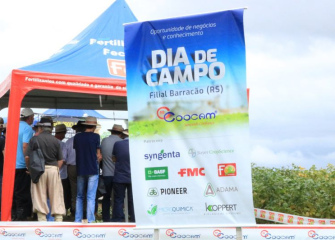 Apesar da chuva, produtores de Barracão participaram do Dia de Campo da filial 