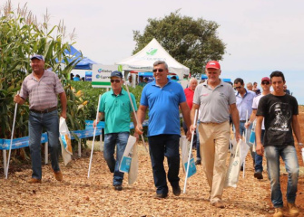 Amanhã tem Dia de Campo da Coocam, na filial de Curitibanos