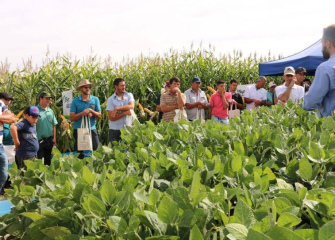 Dia de Campo Coocam, em Barracão.  