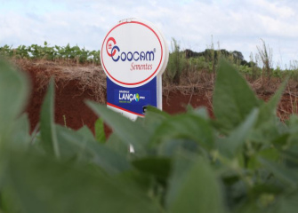 Coocam participa do Dia de Campo Cravil, em Lontras