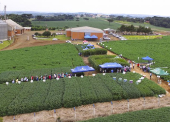 10º Dia de Campo Coocam, em Barracão – RS, apresenta tecnologias disponíveis ao homem do campo