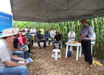 4º Dia de Campo da Coocam em Lebon Régis apresenta novidades do agronegócio