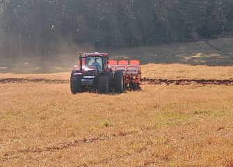 Plantio de milho já iniciou em lavouras dos produtores da Coocam