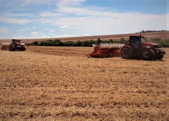 Santa Catarina lança Programa de Incentivo ao Plantio de Grãos de Inverno 